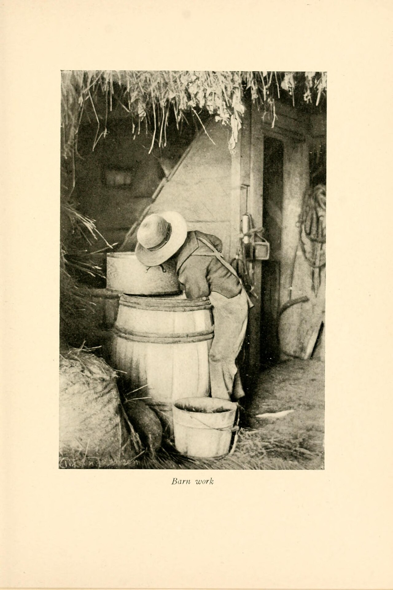 small rural pond bank